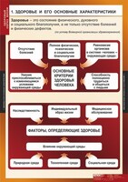 Комплект таблиц. ОБЖ. Здоровый образ жизни. - fgospostavki.ru - Белогорск