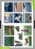 Комплект таблиц. Окружающий мир. Летние и осенние изменения в природе. - fgospostavki.ru - Белогорск