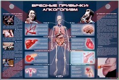 Электрифицированный стенд "Вредные привычки: алкоголизм" - fgospostavki.ru - Белогорск