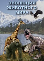 DVD "Эволюция животного мира" - fgospostavki.ru - Белогорск