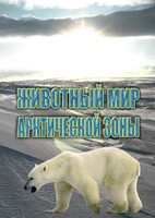 DVD "Животный мир Арктической зоны" - fgospostavki.ru - Белогорск