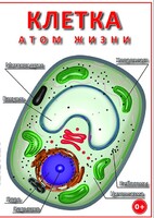 DVD "Клетка - "атом жизни" - fgospostavki.ru - Белогорск