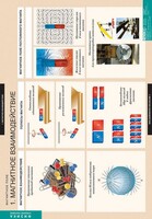 Комплект таблиц. Физика. Магнитное поле. - fgospostavki.ru - Белогорск