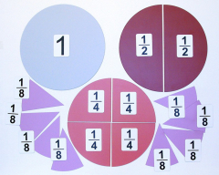 Набор магнитных карточек "Доли и дроби - 1" - fgospostavki.ru - Белогорск