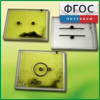 Набор для демонстрации электрических полей - fgospostavki.ru - Белогорск