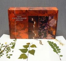 Гербарий для Начальной школы (28 видов) - fgospostavki.ru - Белогорск