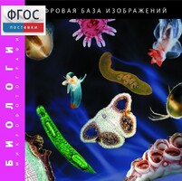 Биология. Микрофотографии. (Цифровая база изображений) - fgospostavki.ru - Белогорск
