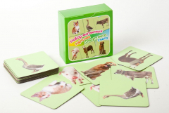 Набор магнитных карточек "Устный счет" (фон зеленый) - fgospostavki.ru - Белогорск