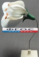 Модель "Цветок гороха" - fgospostavki.ru - Белогорск