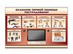 Многофункциональный интерактивный стенд-тренажер "Оказание первой помощи пострадавшим" для учащихся общеобразовательных учреждений - fgospostavki.ru - Белогорск