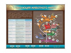Интерактивный электрифицированный стенд "Эволюция животного мира" - fgospostavki.ru - Белогорск