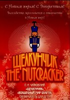 DVD "Щелкунчик. Волшебный мир балета" сказка-балет для детей - fgospostavki.ru - Белогорск