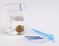 Сосуд Архимеда - fgospostavki.ru - Белогорск