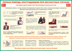 Таблица "Порядок действий при переломах конечностей" (100х140 сантиметров, винил) - fgospostavki.ru - Белогорск