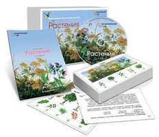 Комбинированное наглядное пособие «Растения» - fgospostavki.ru - Белогорск