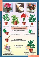 Комплект таблиц. Окружающий мир 1 класс. - fgospostavki.ru - Белогорск