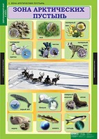 Комплект таблиц. Окружающий мир 4 класс. - fgospostavki.ru - Белогорск