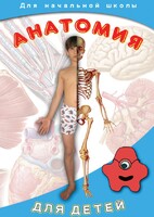 DVD "Анатомия для детей" - fgospostavki.ru - Белогорск