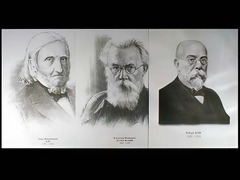 Портреты биологов (26 штук, формат А3) - fgospostavki.ru - Белогорск