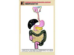 Рельефная таблица "Пищеварительный тракт" (формат А1, матовое ламинирование) - fgospostavki.ru - Белогорск