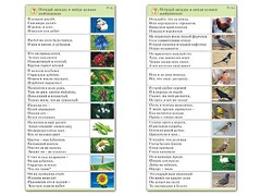 Комплект карточек (10) "Обучающий калейдоскоп. Природа" - fgospostavki.ru - Белогорск