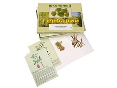 Гербарий "Для начальной школы" (30 видов, с иллюстрациями) - fgospostavki.ru - Белогорск