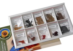 Коллекция "Плоды сельскохозяйственных растений" - fgospostavki.ru - Белогорск