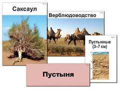 Модель-аппликация "Природные зоны России" (ламинированная) - fgospostavki.ru - Белогорск