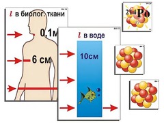 Модель-аппликация "Явление радиоактивности" (ламинированная) - fgospostavki.ru - Белогорск