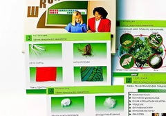 Коллекция "Шелк и продукты его переработки" (средняя школа) - fgospostavki.ru - Белогорск