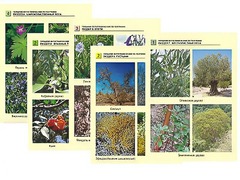 Гербарий фотографический по географии - fgospostavki.ru - Белогорск