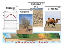 Модель-аппликация "Природные зоны" - fgospostavki.ru - Белогорск