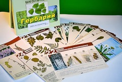 Гербарий к курсу основ общей биологии - fgospostavki.ru - Белогорск