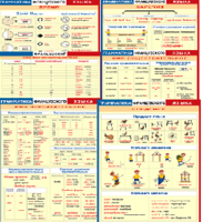 Комплект таблиц "Грамматика французского языка (9 листов)" (100х140 сантиметров, винил) - fgospostavki.ru - Белогорск