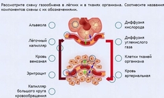 Интерактивные курсы. Биология 9 класс. Расширенный. - fgospostavki.ru - Белогорск