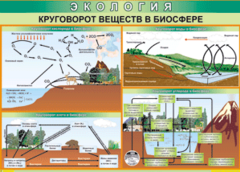 Таблица "Круговорот веществ в биосфере" (100х140 сантиметров, винил) - fgospostavki.ru - Белогорск
