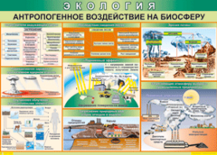 Таблица "Антропогенное воздействие на биосферу" (100х140 сантиметров, винил) - fgospostavki.ru - Белогорск