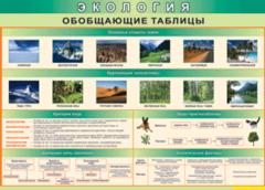 Таблица "Экология. Обобщающие таблицы" (100х140 сантиметров, винил) - fgospostavki.ru - Белогорск