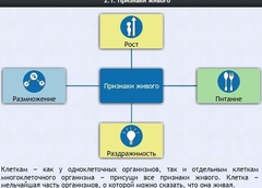 Интерактивные курсы. Биология 5 класс. Базовый - fgospostavki.ru - Белогорск