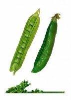 Комплект карточек "Запоминай, играй, считай" -  Овощи - fgospostavki.ru - Белогорск