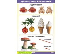 Таблица демонстрационная "Одинаковый, похожий и противоположный" (винил 70x100) - fgospostavki.ru - Белогорск