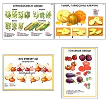 Плакаты ПРОФТЕХ "Ассортимент овощных культур" (12 пл, винил, 70х100) - fgospostavki.ru - Белогорск