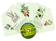 Интерактивный наглядный комплекс "Гербарий "Для начальной школы" - fgospostavki.ru - Белогорск