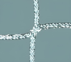 Сетка заградительная (нить 3,5 миллиметров, ячейка 100х100 миллиметров) - fgospostavki.ru - Белогорск