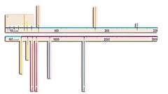 Модель-аппликация "Расстояния во Вселенной" - fgospostavki.ru - Белогорск