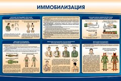 Стенд "Иммобилизация" - fgospostavki.ru - Белогорск