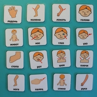 Набор карточек "Части тела" - fgospostavki.ru - Белогорск