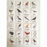 Набор карточек "ПТИЦЫ" - fgospostavki.ru - Белогорск