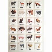 Набор карточек "ЖИВОТНЫЕ" - fgospostavki.ru - Белогорск
