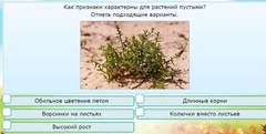 Интерактивные курсы. Окружающий мир 3 класс . Базовый. - fgospostavki.ru - Белогорск